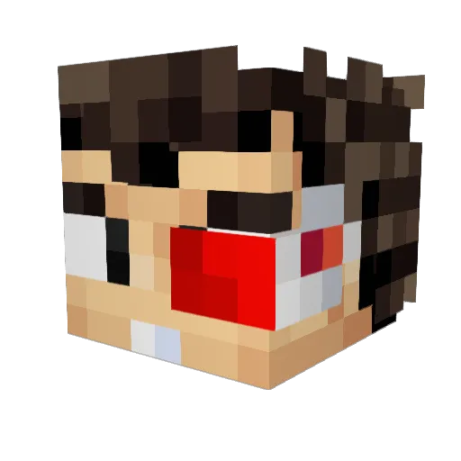 BeerMaester Minecraft avatar head, 3D render