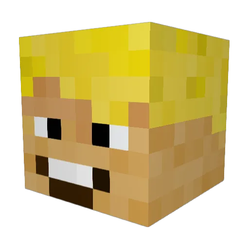 BeerMePlz Minecraft avatar head, 3D render