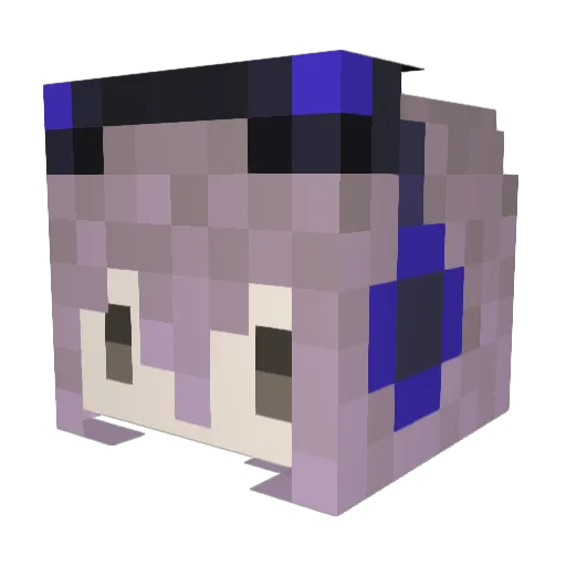 Beer_Nyan Minecraft avatar head, 3D render