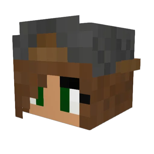Beerica Minecraft avatar head, 3D render