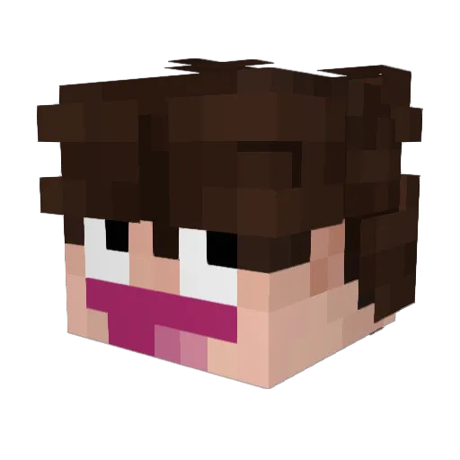 Beerih Minecraft avatar head, 3D render