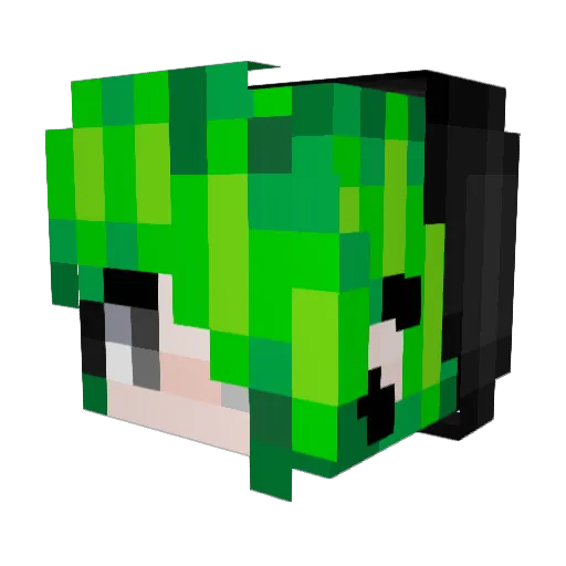 Beerosa Minecraft avatar head, 3D render
