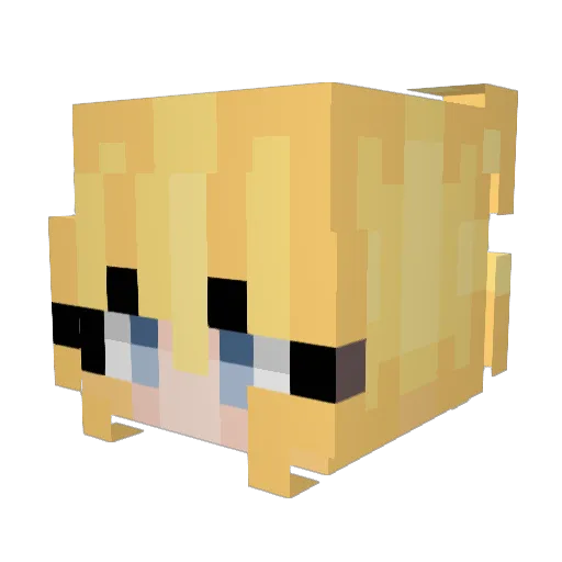 Beertje8 Minecraft avatar head, 3D render