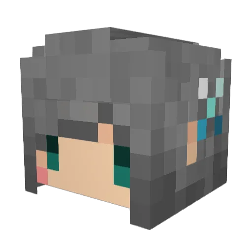Beeru Minecraft avatar head, 3D render