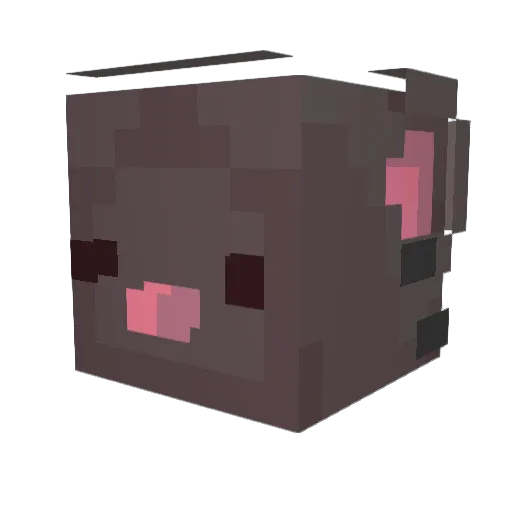 Beeryrat Minecraft avatar head, 3D render