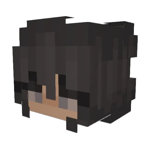 BeesGaming_ Minecraft avatar head, 3D render