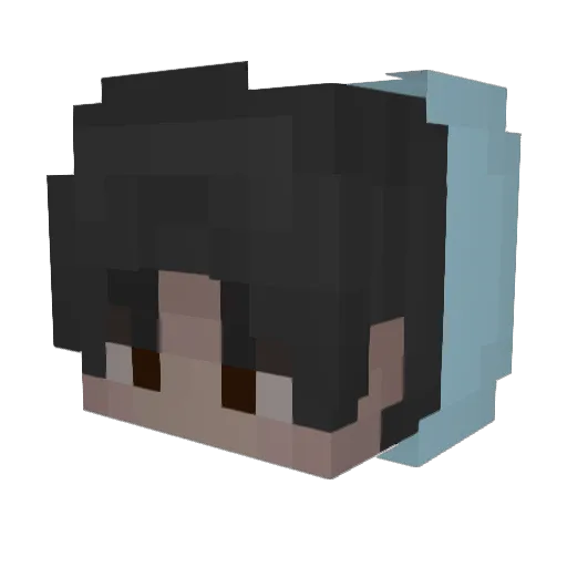 Beesain Minecraft avatar head, 3D render