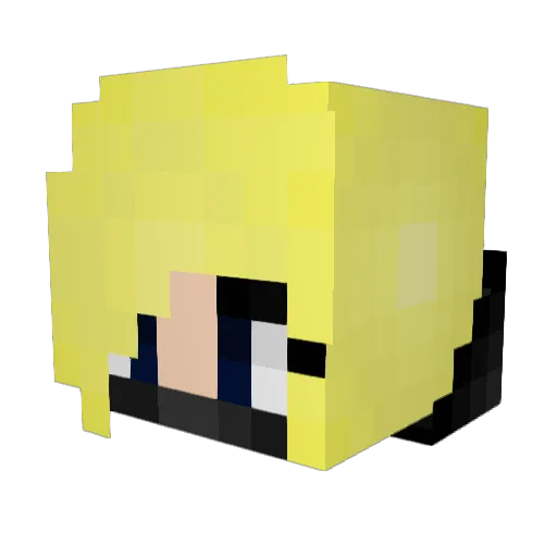 Beescraft Minecraft avatar head, 3D render