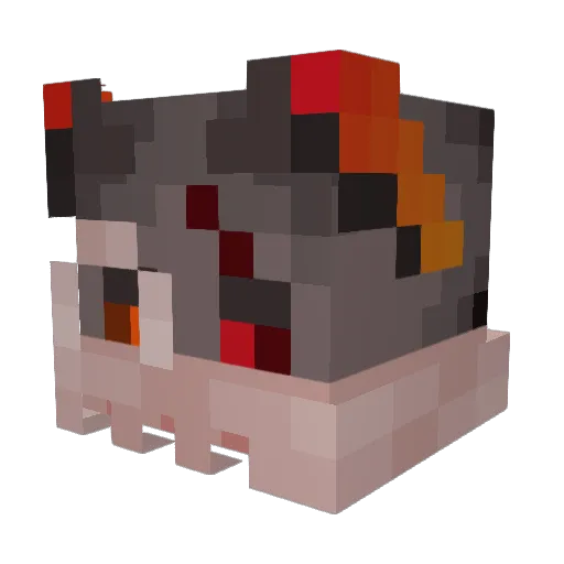 Beesechurger2231 Minecraft avatar head, 3D render