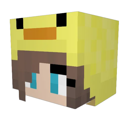 Beesilibub Minecraft avatar head, 3D render