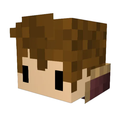 Beesop Minecraft avatar head, 3D render