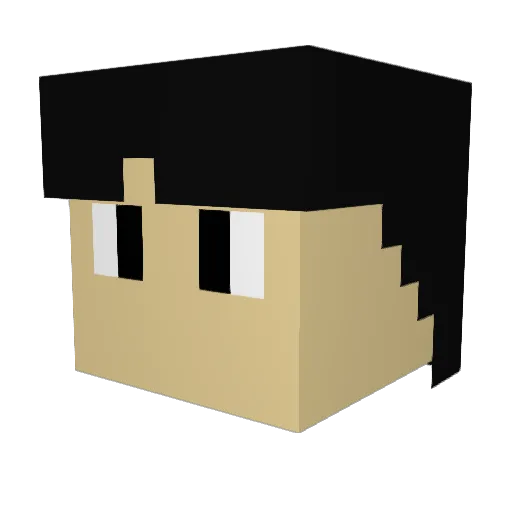 BeeswarmerKR Minecraft avatar head, 3D render