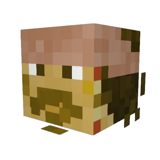 Beet4life7438 Minecraft avatar head, 3D render