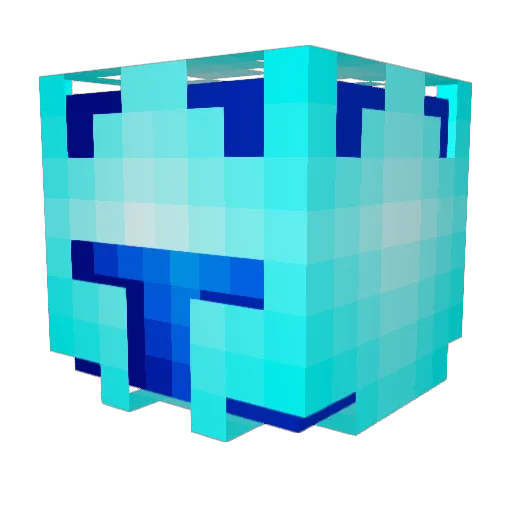 BeetStew9990 Minecraft avatar head, 3D render