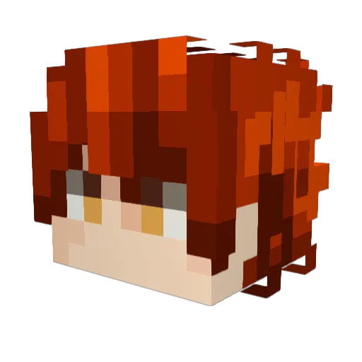 Beetle1069 Minecraft avatar head, 3D render