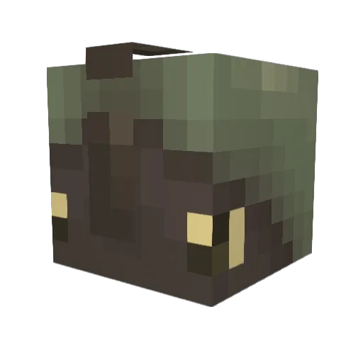 BeetleBuns Minecraft avatar head, 3D render