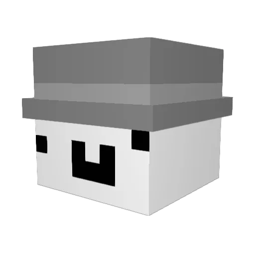BeetleSplash875 Minecraft avatar head, 3D render