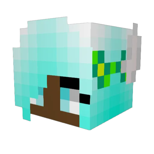 Beetlejuic3 Minecraft avatar head, 3D render