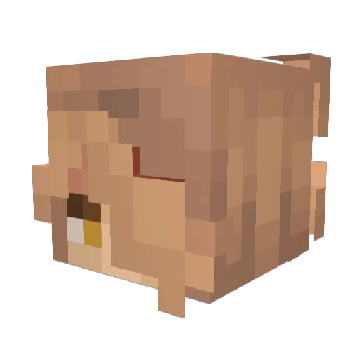 BeetlesP1t Minecraft avatar head, 3D render