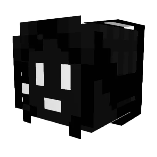 Beetrix802 Minecraft avatar head, 3D render