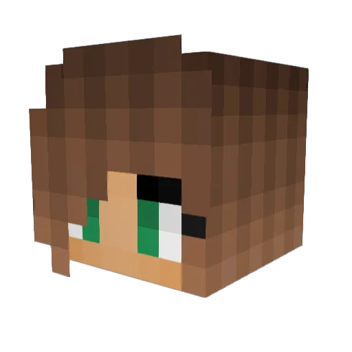Beetro08 Minecraft avatar head, 3D render