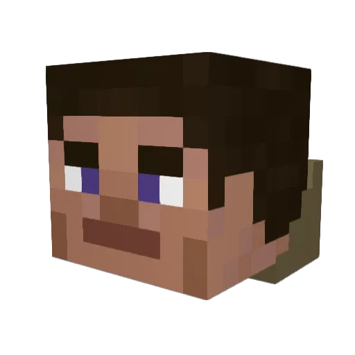 BeetsByFarmerDre Minecraft avatar head, 3D render