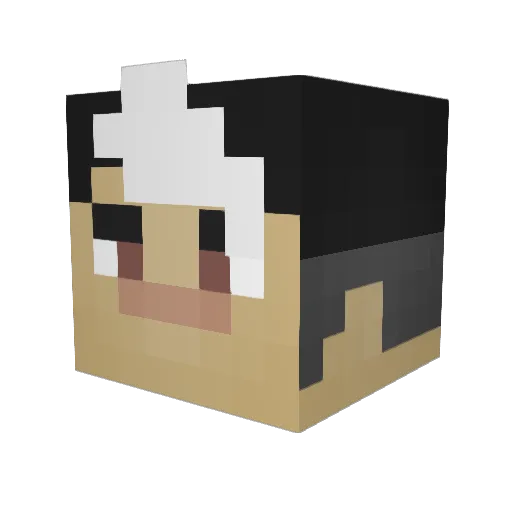 Beeve_ Minecraft avatar head, 3D render