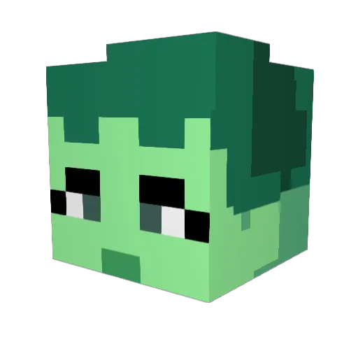 BeevilBoneweevil Minecraft avatar head, 3D render