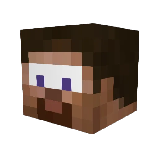 Beevis690 Minecraft avatar head, 3D render