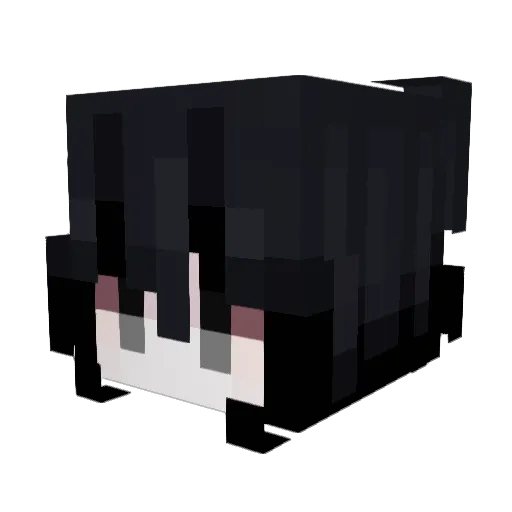 Beewuhu Minecraft avatar head, 3D render