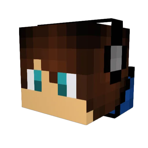 Beezer2004 Minecraft avatar head, 3D render