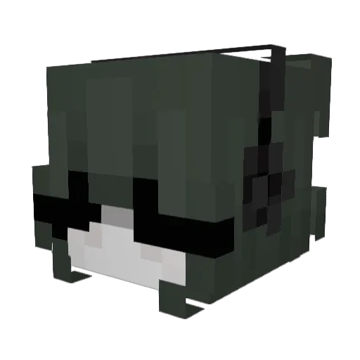 Beezung Minecraft avatar head, 3D render