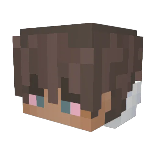 BefKikker Minecraft avatar head, 3D render