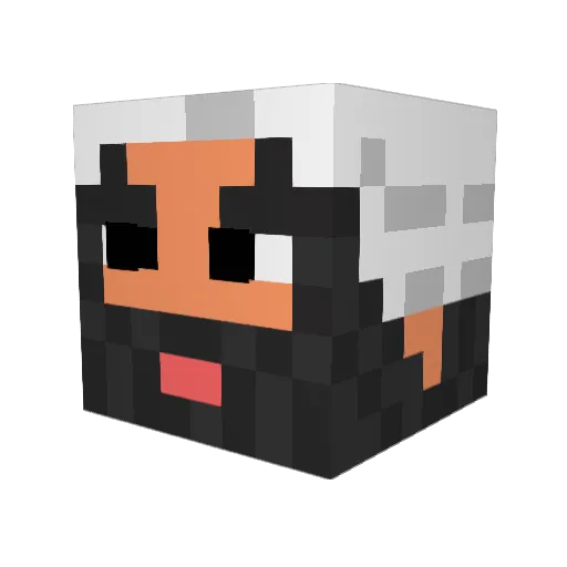 Beff54321 Minecraft avatar head, 3D render