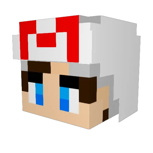 BeforeNam Minecraft avatar head, 3D render