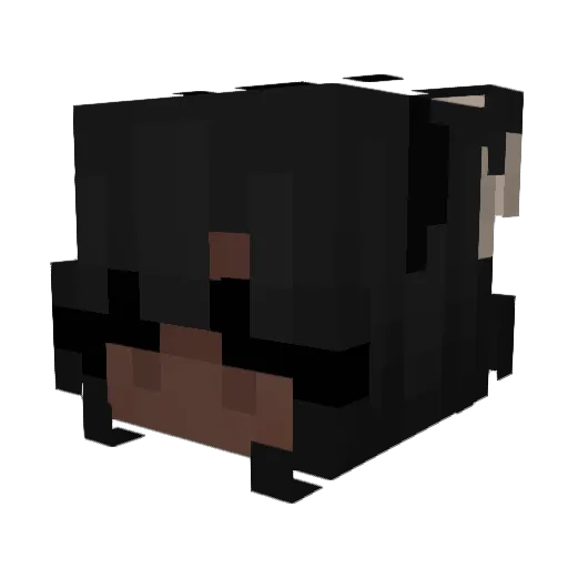 BegoniaBeauty Minecraft avatar head, 3D render