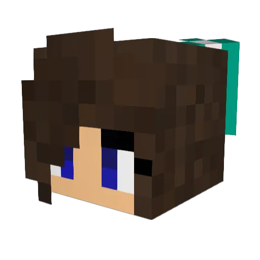 BehSimpHG_ Minecraft avatar head, 3D render