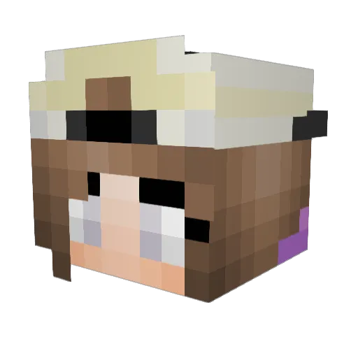 Behavedchildren Minecraft avatar head, 3D render