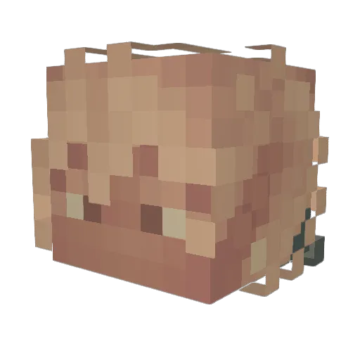 Behildus Minecraft avatar head, 3D render