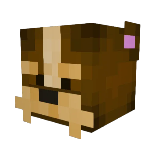 Behoogus Minecraft avatar head, 3D render