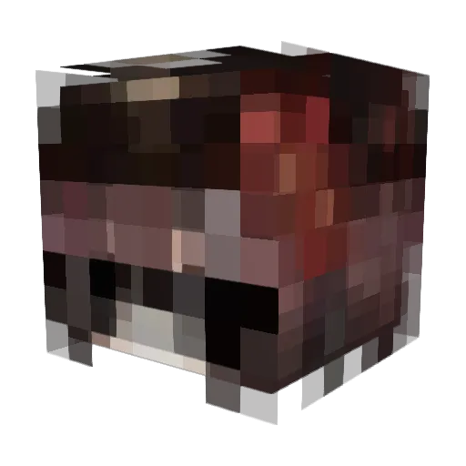 Beichen_ Minecraft avatar head, 3D render