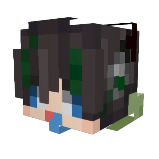 Beidouxin Minecraft avatar head, 3D render