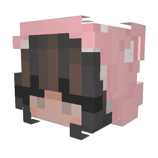 BeighBee Minecraft avatar head, 3D render