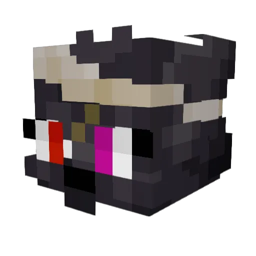 BeingBurrito Minecraft avatar head, 3D render