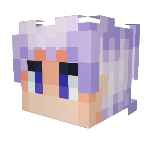 Beirehh Minecraft avatar head, 3D render