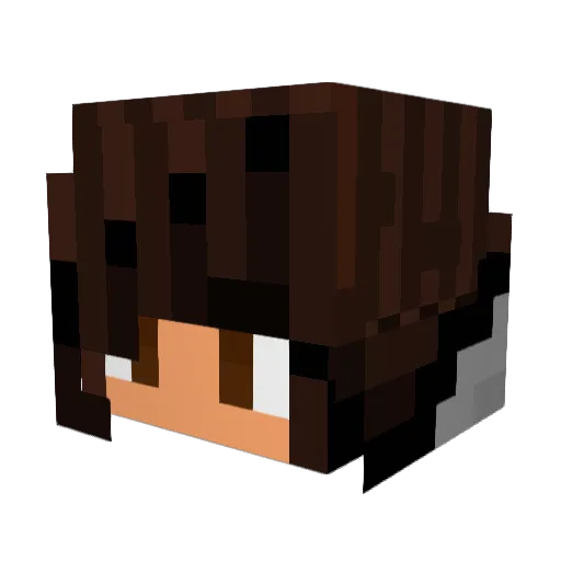 Bejanes Minecraft avatar head, 3D render