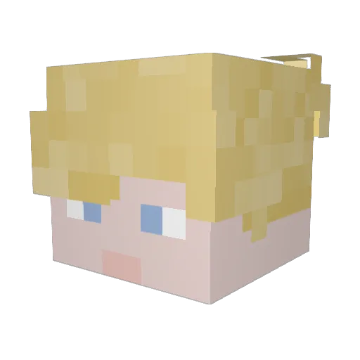 Bekkebu Minecraft avatar head, 3D render
