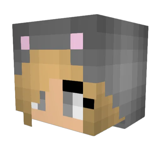 Bekkis13 Minecraft avatar head, 3D render