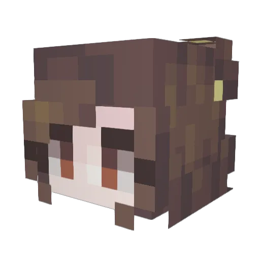 Beksun Minecraft avatar head, 3D render