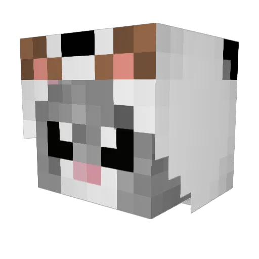 Bel0c4ka Minecraft avatar head, 3D render